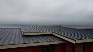 Professional  Roofing repair and installation in Chesnut Hill, PA